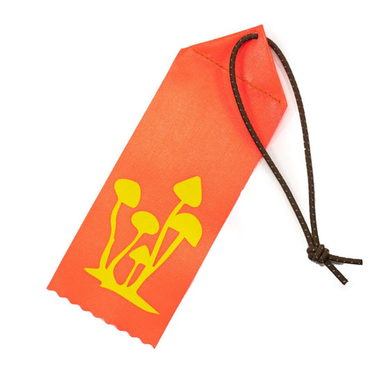 SAFETY PIZZA - safety shroom