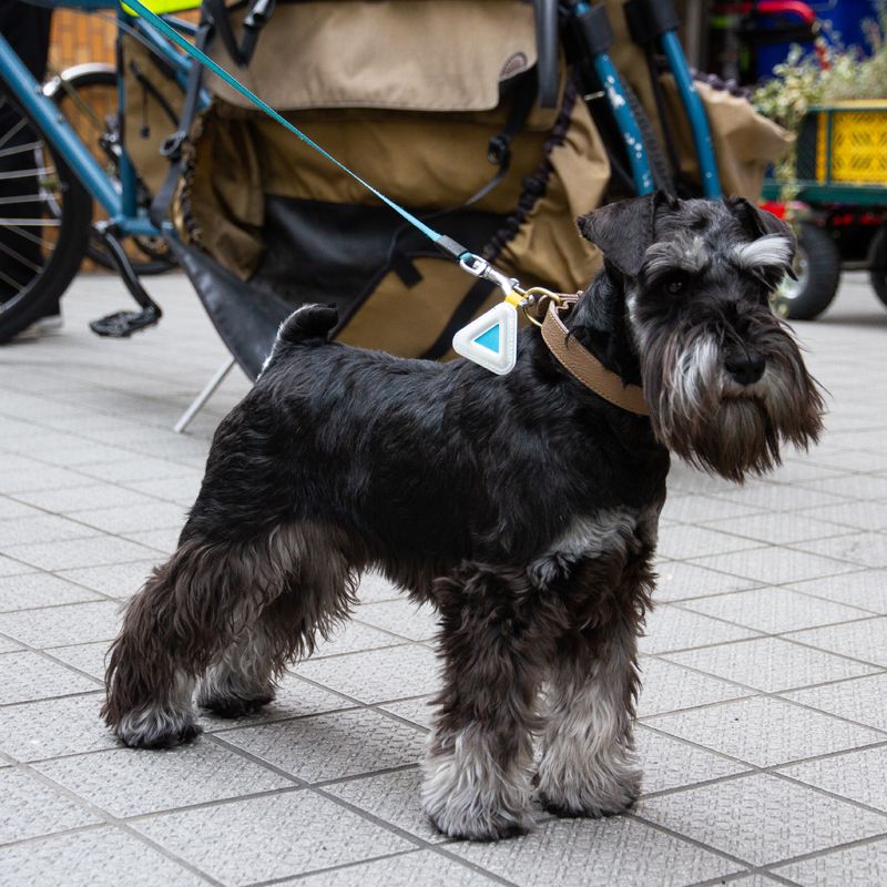 Bluelug - Mini Triangle Reflector (Neon Red)